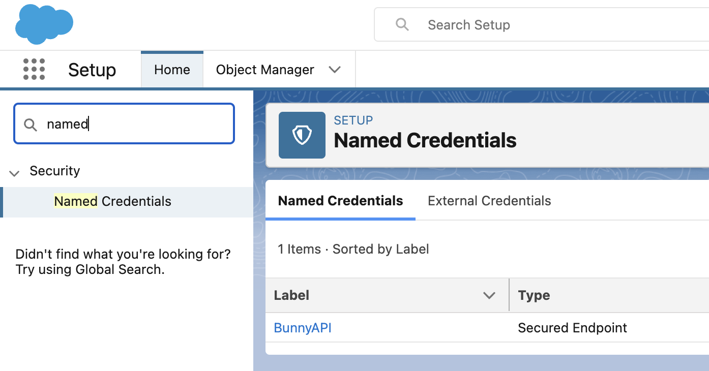 Salesforce Named Credentials tab listing the BunnyAPI named credential of type Secured Endpoint