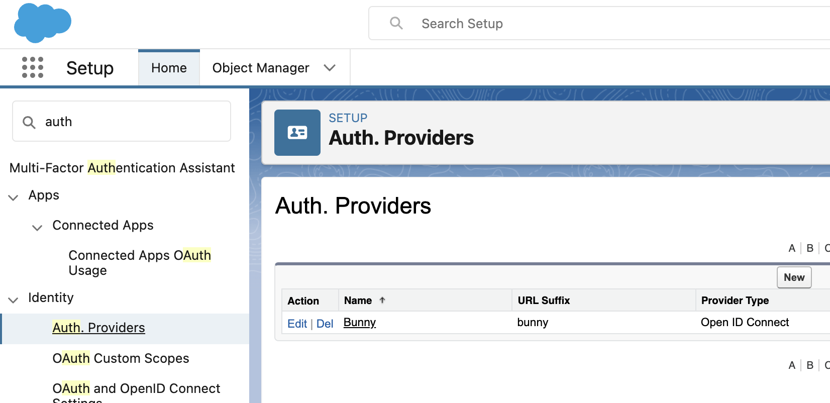 Salesforce Setup Auth. Providers page listing a Bunny provider with URL suffix bunny and type Open ID Connect